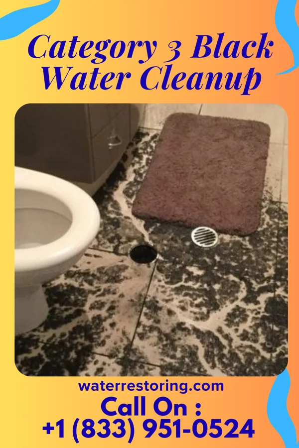 Category 3 Black Water Cleanup in Junction City, GA