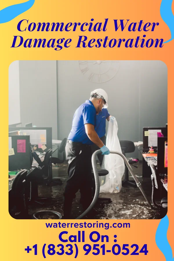 Commercial Water Damage Restoration in Junction City, GA